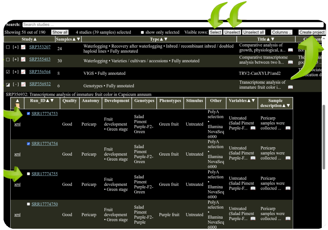 Building the data set