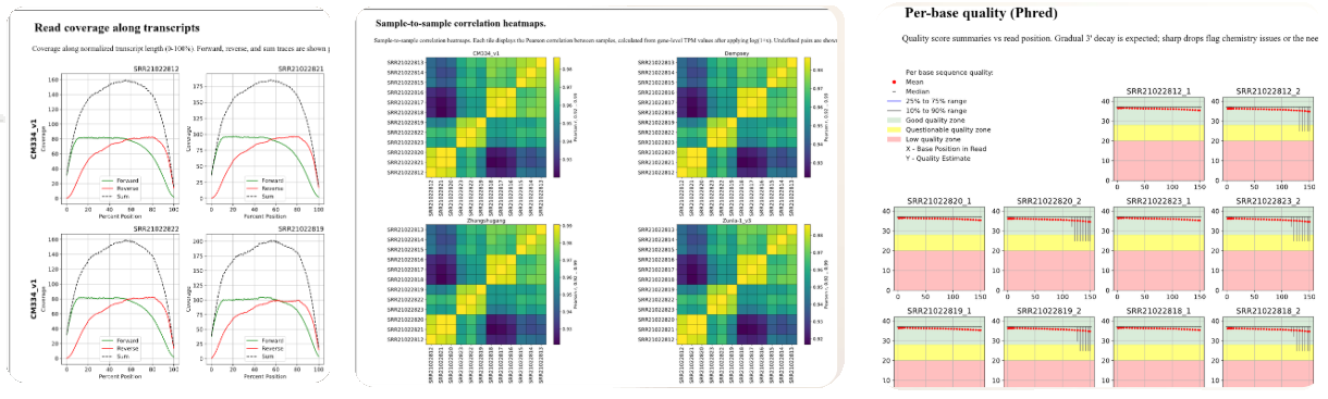 Building the data set